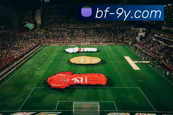 九游官网平台生态图