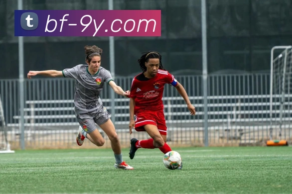 九游官网全站App